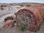 Troncos petrificados há mais de 200 milhões de anos no Petrified Forest National Park, no Arizona - Estados Unidos